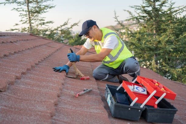 Roof Gutter Cleaning in Woodbridge, CA
